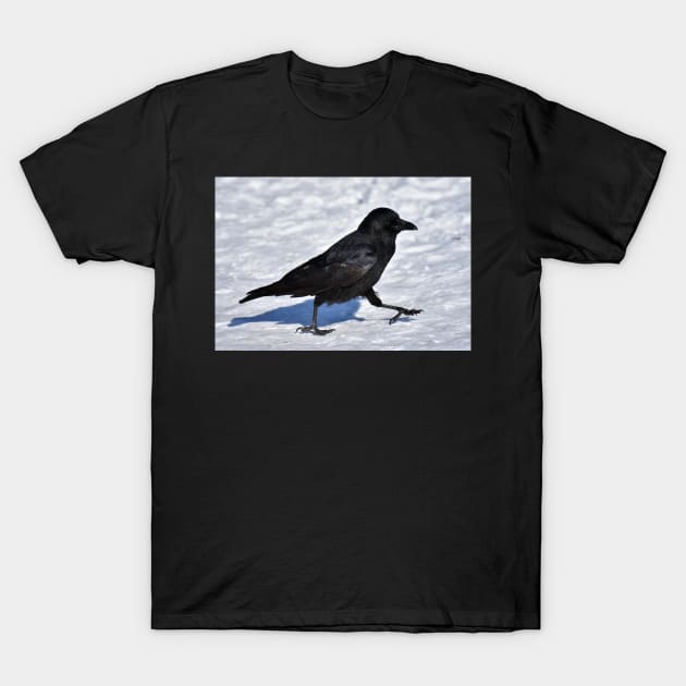 Crow T-Shirt by kawaii_shop